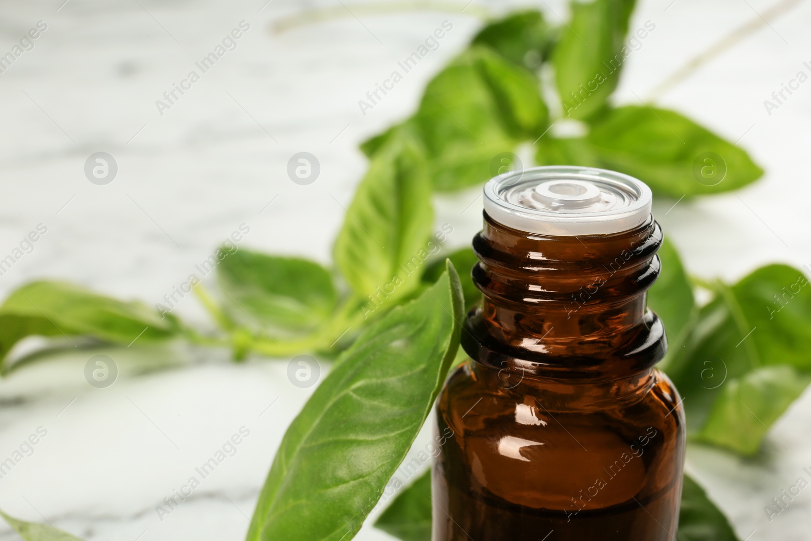 Photo of Bottle of basil essential oil and fresh leaves on marble table, closeup. Space for text