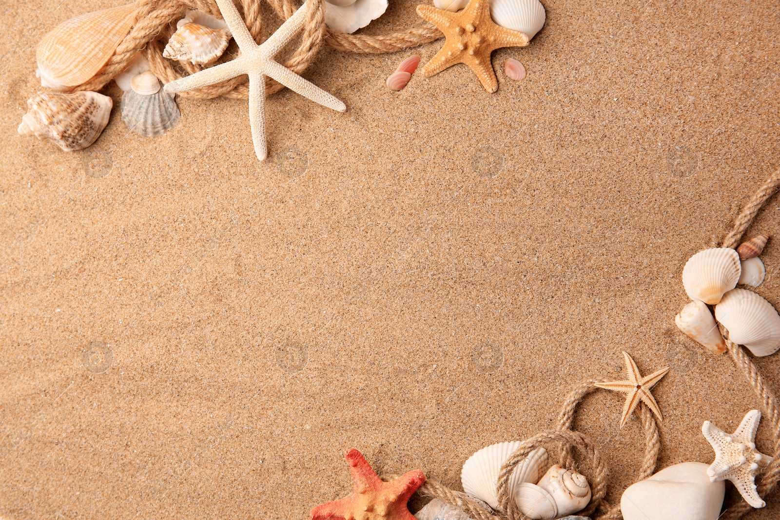 Photo of Beautiful sea stars, shells and ropes on sand, flat lay. Space for text