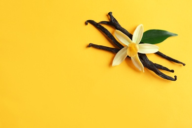 Flat lay composition with vanilla sticks and flower on yellow background. Space for text