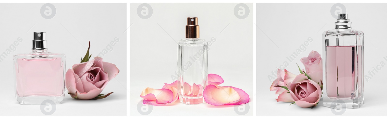 Image of Set with different bottles of perfume and flowers on white background. Banner design