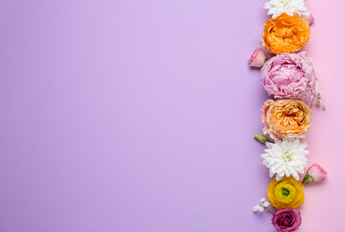 Photo of Floral composition with beautiful flowers on color background, flat lay. Space for text