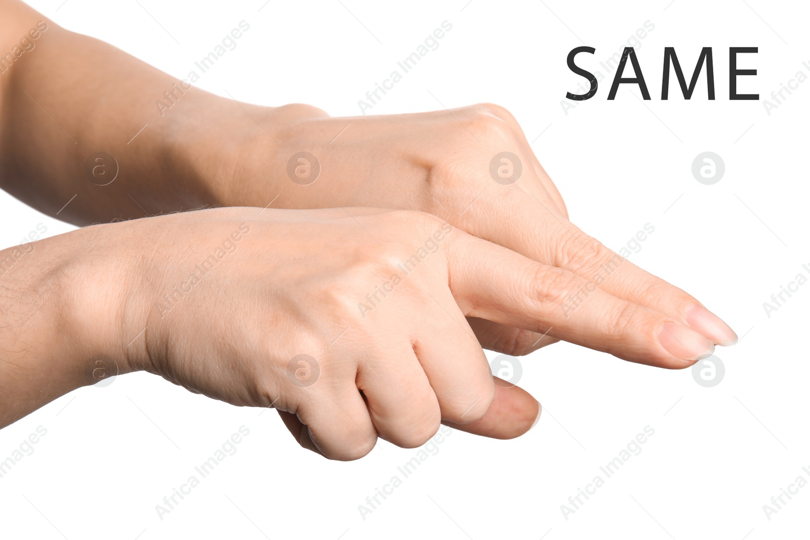 Image of Woman showing word Same on white background, closeup. American sign language