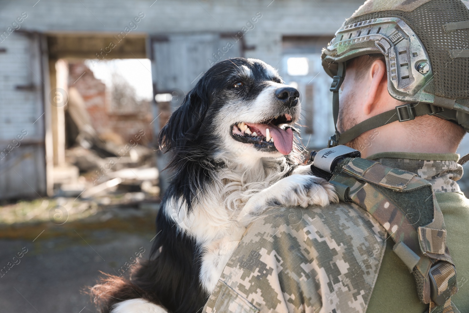 Photo of Ukrainian soldier rescuing stray dog outdoors, back view. Space for text