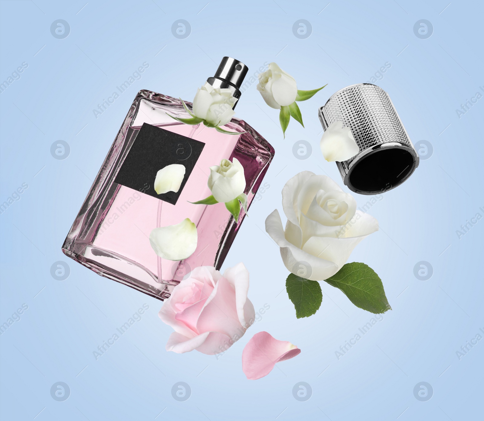 Image of Bottle of perfume and roses in air on light blue background. Flower fragrance