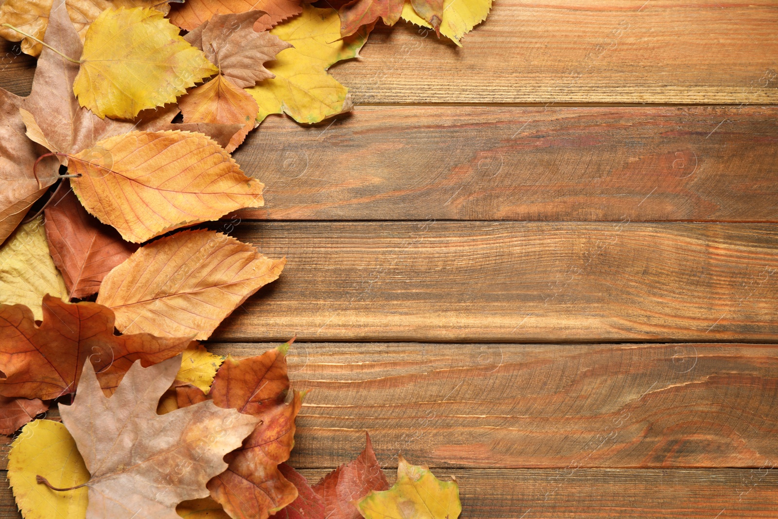 Photo of Flat lay composition with autumn leaves on wooden background. Space for text