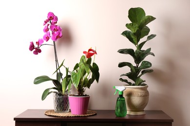 Photo of Beautiful houseplants in pots and spray bottle on table near beige wall. House decor