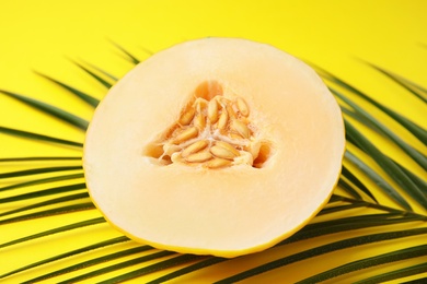 Photo of Juicy melon with tropical leaf on color background