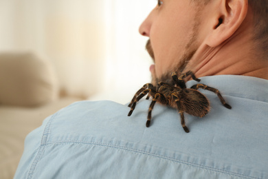 Photo of Man with tarantula at home, space for text. Arachnophobia (fear of spiders)