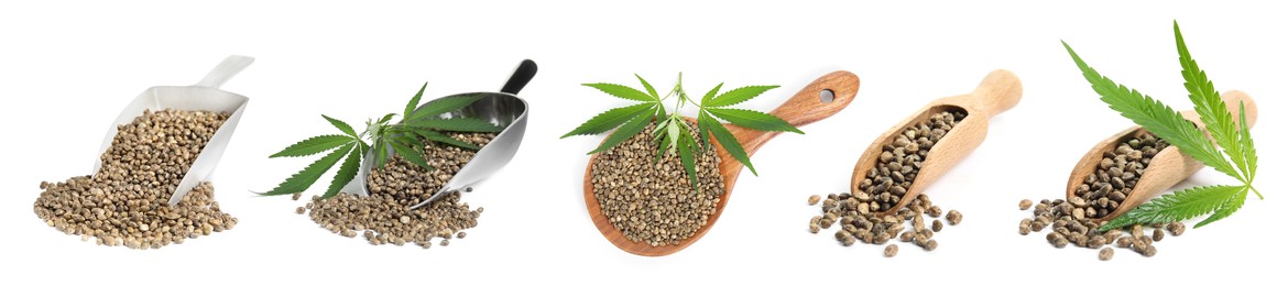 Image of Set with hemp seeds on white background. Banner design