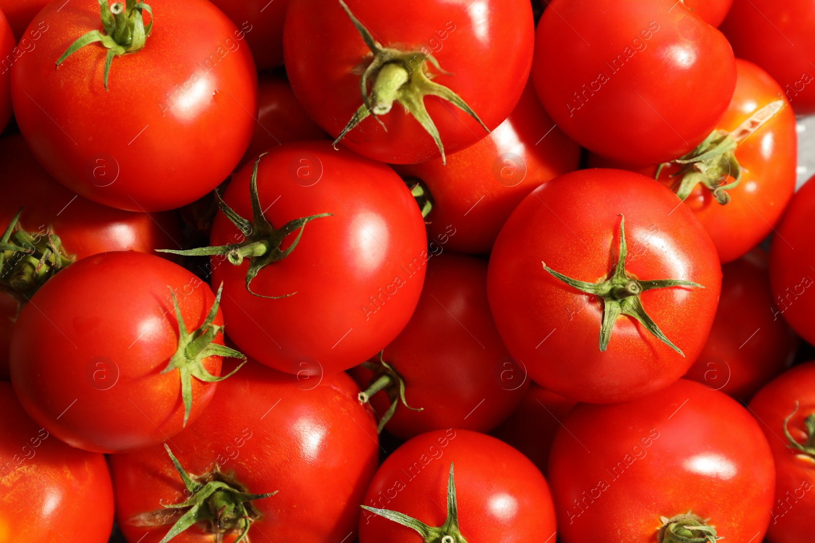 Photo of Fresh ripe red tomatoes as background, closeup