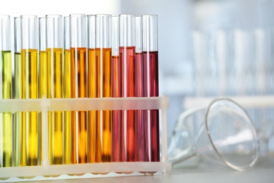 Test tubes with color liquids on table in laboratory