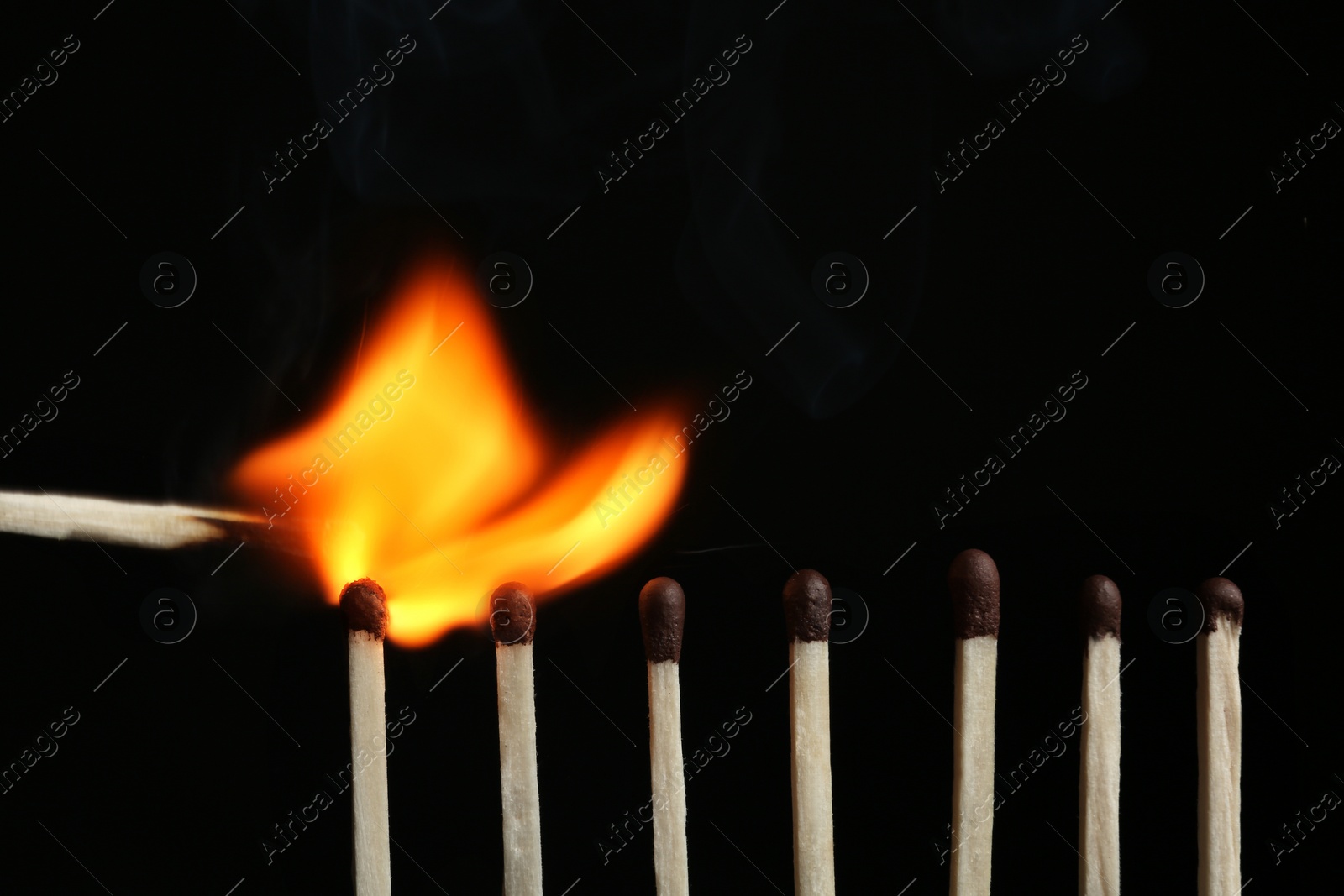 Photo of Lit match igniting others on black background, closeup. Space for text