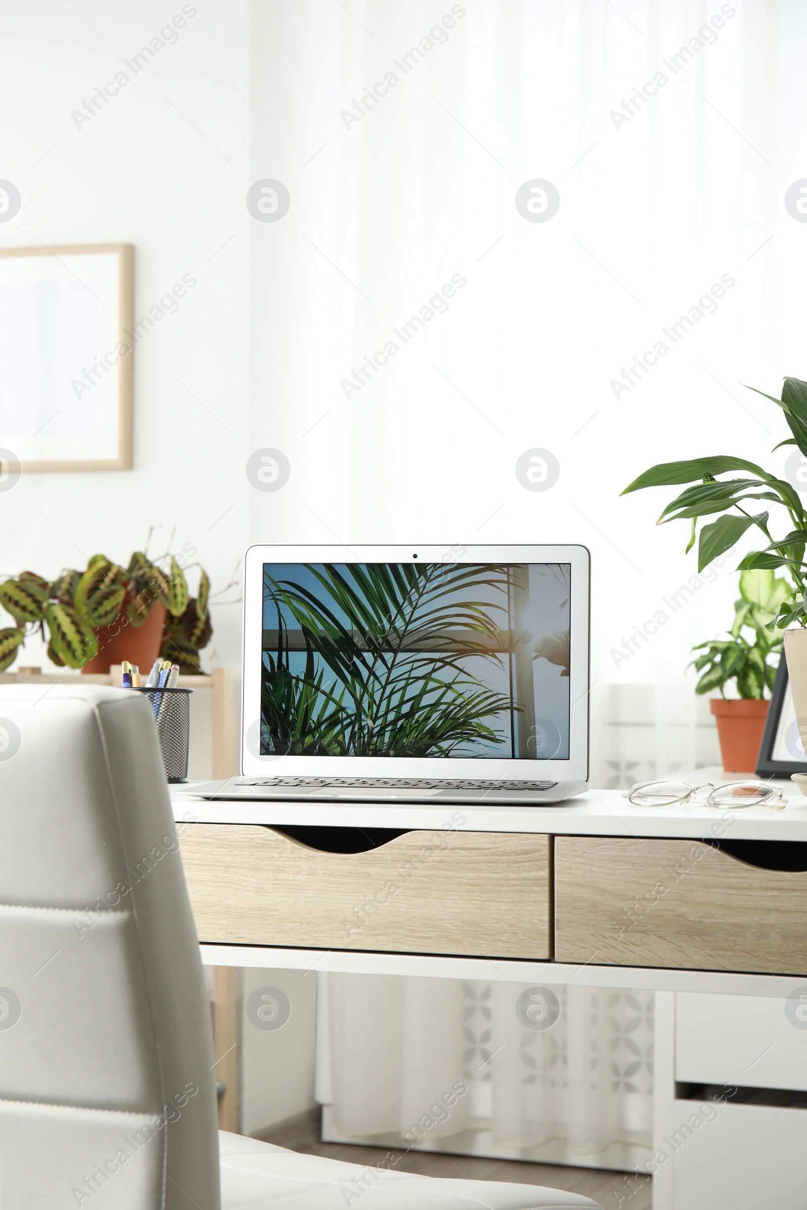 Photo of Houseplants and laptop on table in office interior