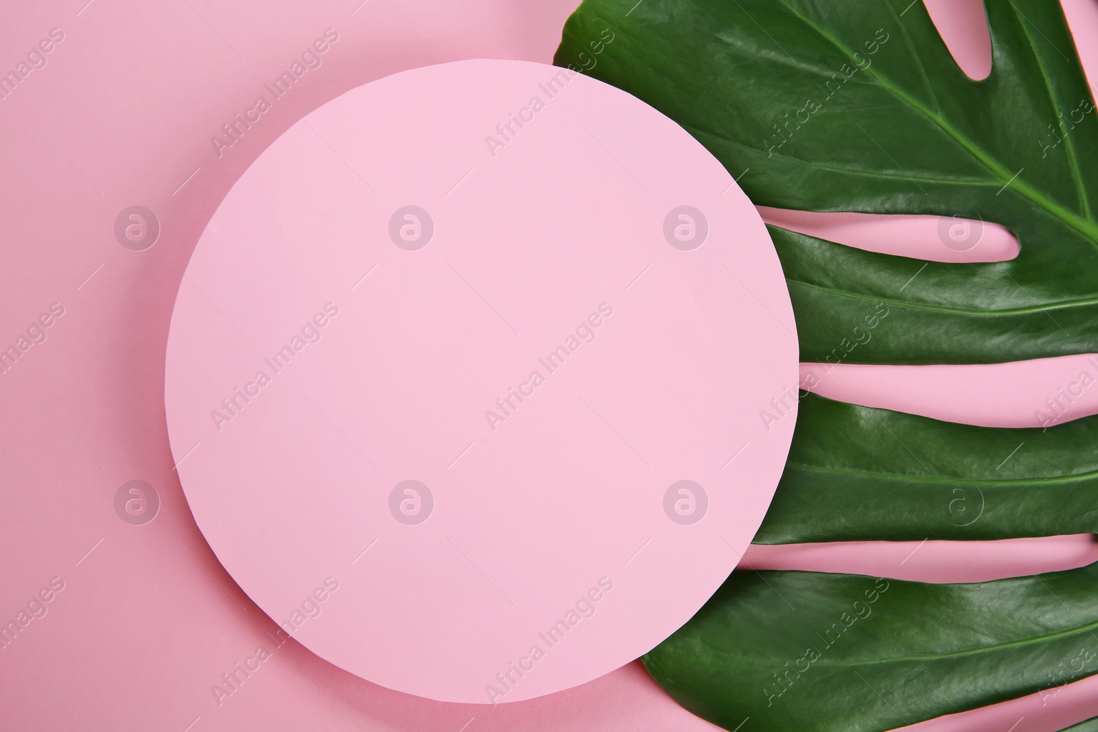 Photo of Flat lay composition with tropical leaves on color background