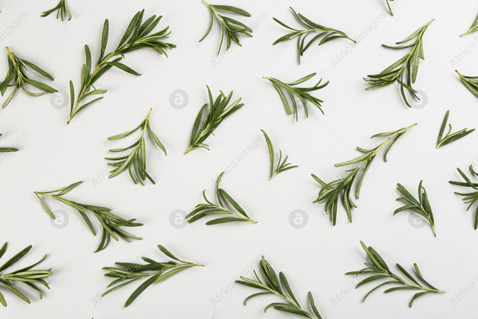 Photo of Flat lay composition with fresh rosemary on light background