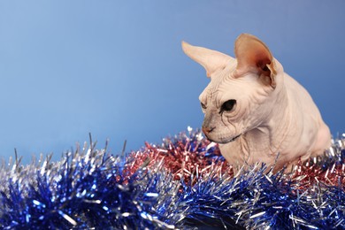 Photo of Adorable Sphynx cat with colorful tinsels on blue background, space for text