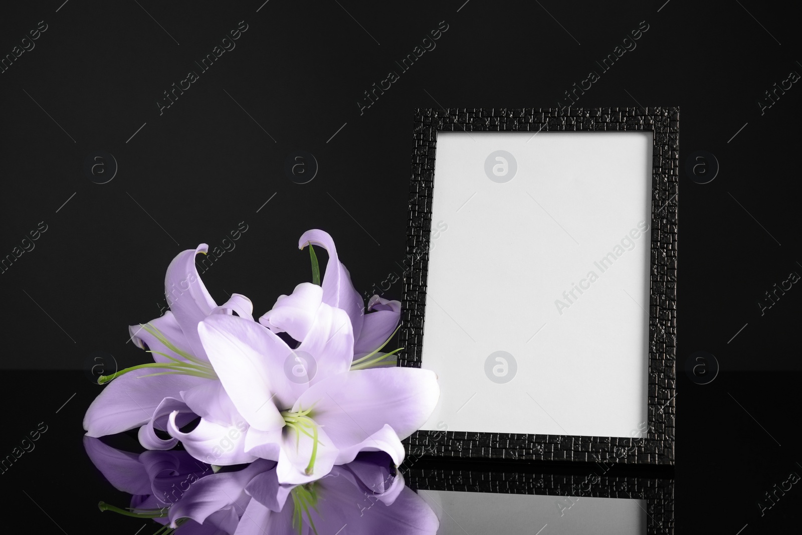 Image of Funeral photo frame and violet lilies on table against black background