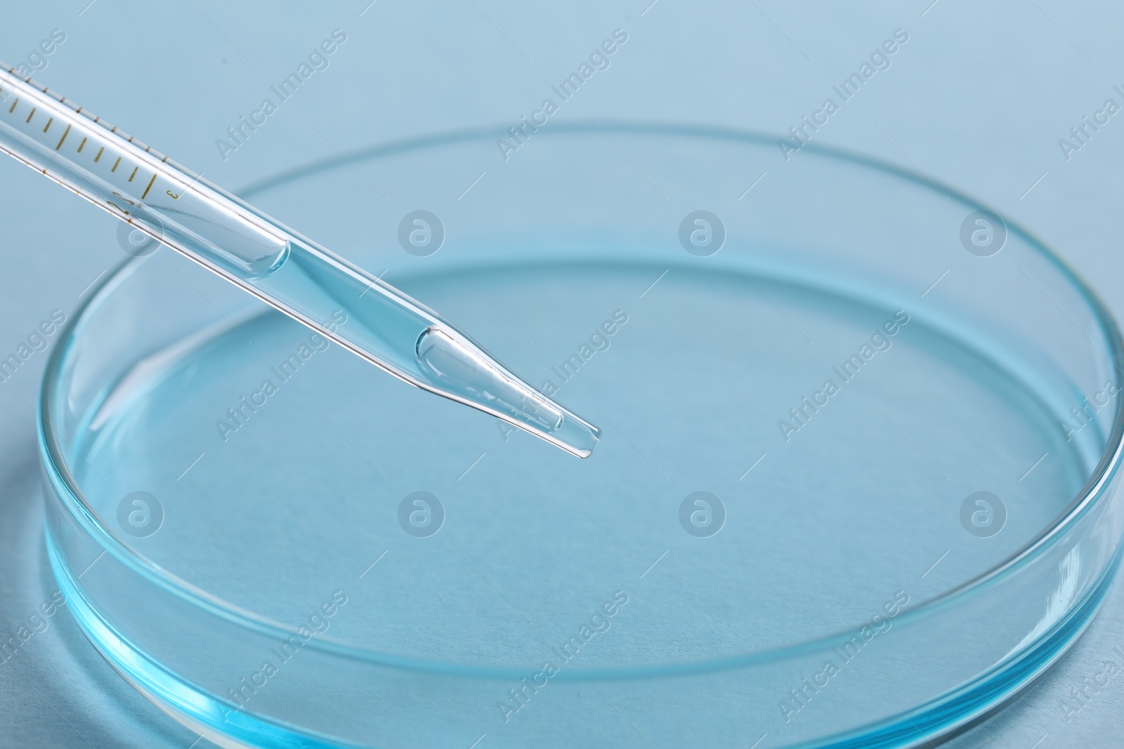 Photo of Dripping liquid from pipette into petri dish at light blue background, closeup. Laboratory analysis