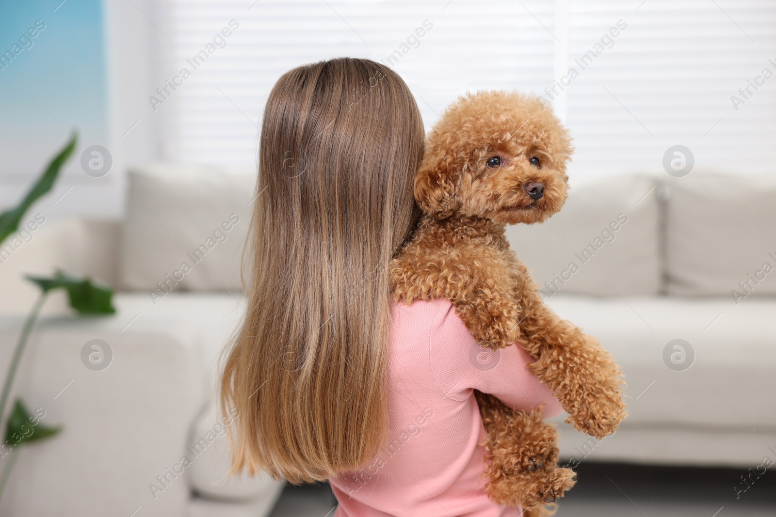 Photo of Little child with cute puppy at home, back view. Lovely pet