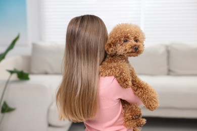 Little child with cute puppy at home, back view. Lovely pet