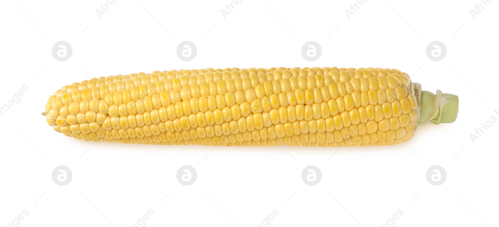 Photo of Tasty fresh corn cob isolated on white, top view