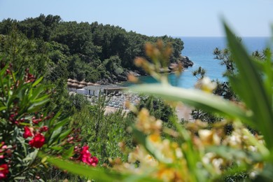 Photo of Picturesque view of sea beach near forest
