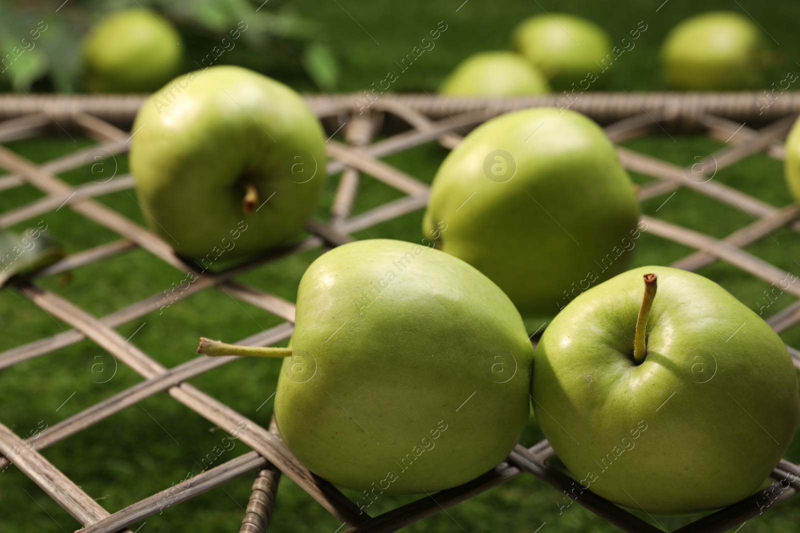 Photo of Fresh green apples on rattan grid, closeup