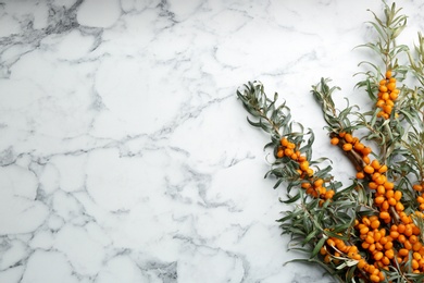 Photo of Branches of sea buckthorn on white marble table, flat lay. Space for text