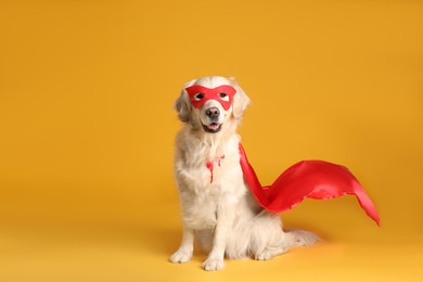 Photo of Adorable dog in red superhero cape and mask on yellow background