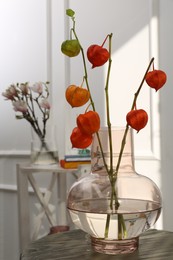 Photo of Physalis branches in glass vase on table indoors