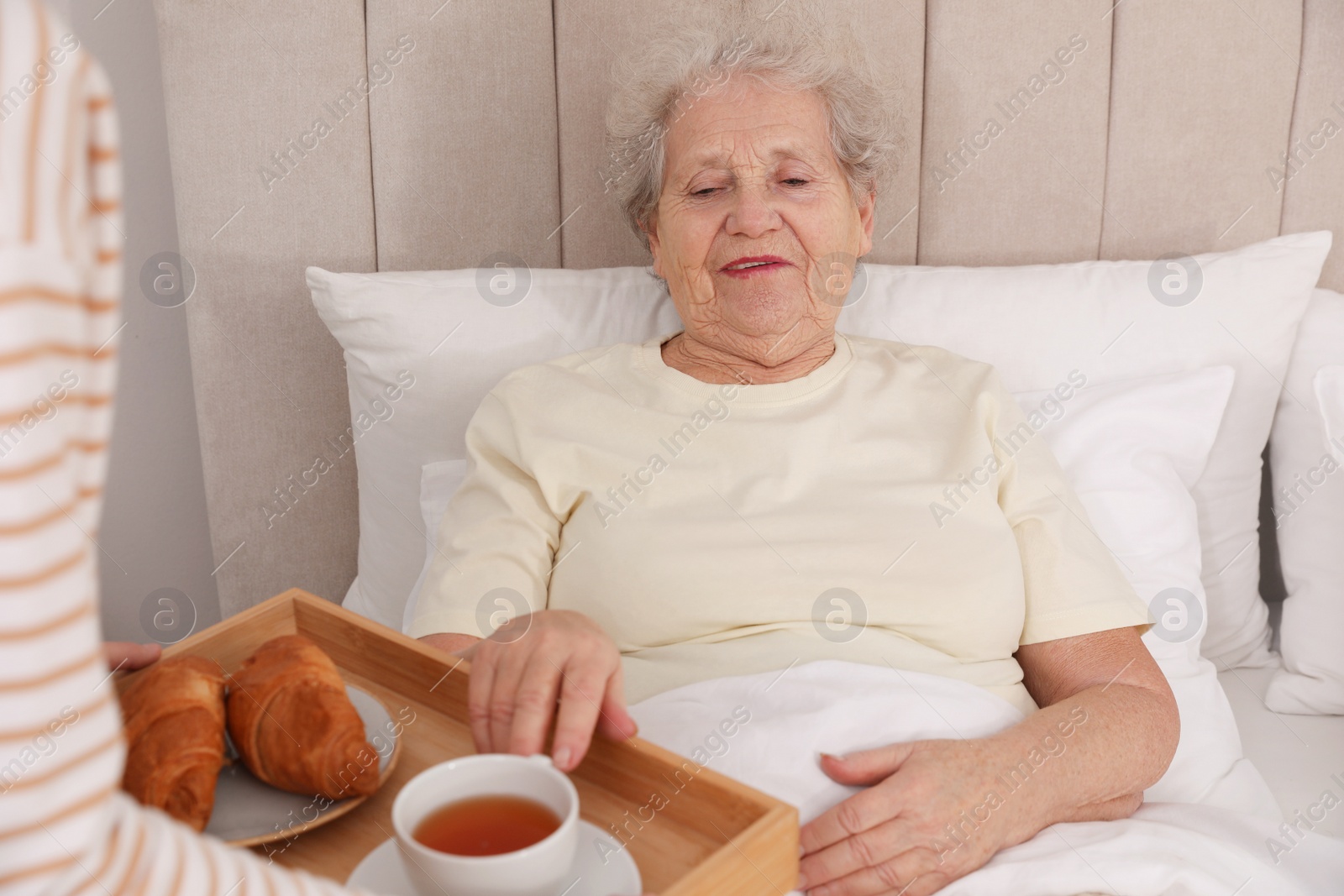 Photo of Young caregiver serving breakfast for senior woman in bedroom. Home care service