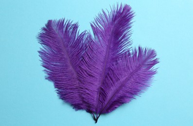 Photo of Beautiful violet feathers on light blue background, top view