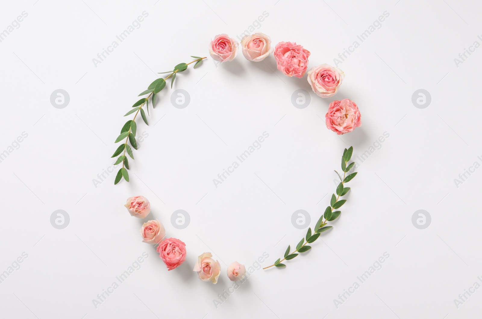 Photo of Beautiful wreath made of rose flowers and eucalyptus on white background, flat lay