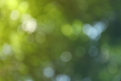 Photo of Blurred view of abstract green background. Bokeh effect