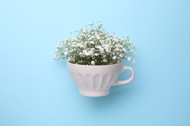 Photo of Beautiful gypsophila in white cup on light blue background, top view