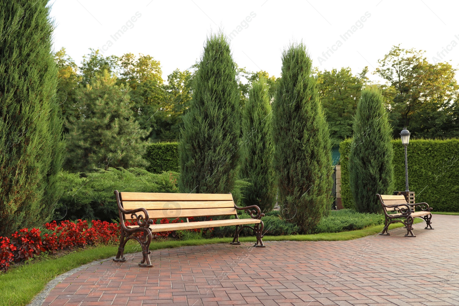 Photo of Picturesque landscape with benches on sunny day. Gardening idea