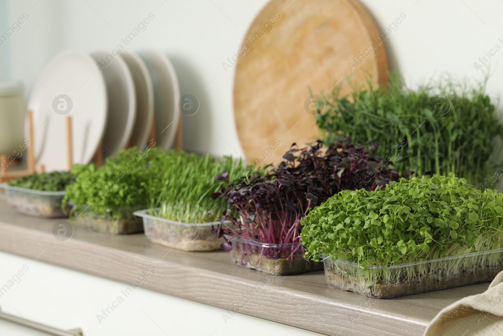 Photo of Different fresh microgreens in plastic containers on countertop in kitchen, space for text