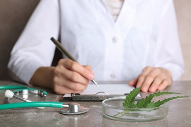 Petri dish with hemp leaf and doctor at table on background