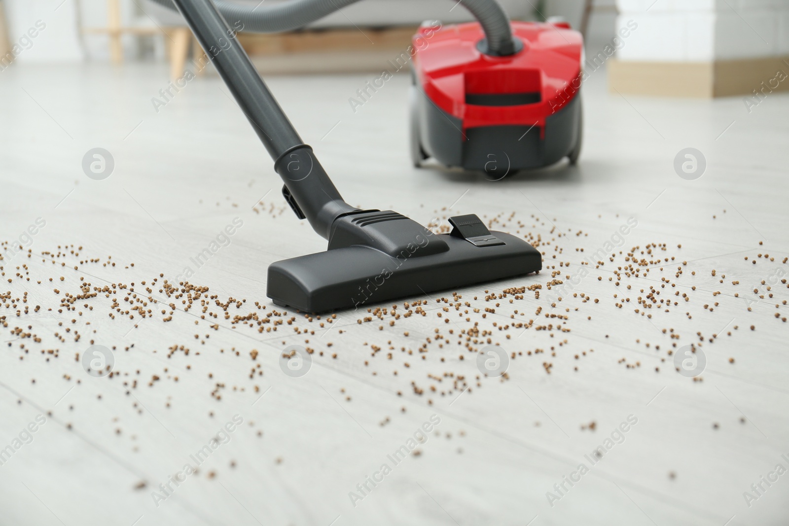 Photo of Removing groats from wooden floor with vacuum cleaner at home