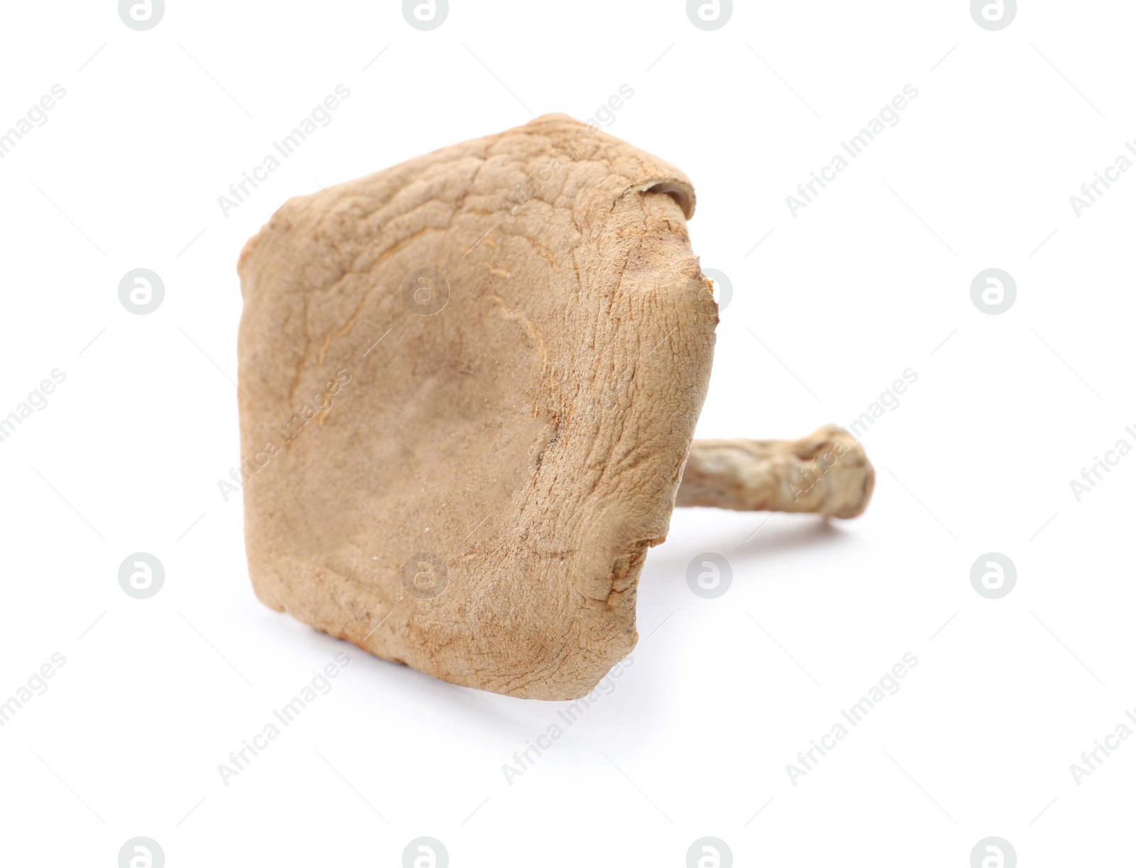 Photo of Dried aromatic chanterelle mushroom isolated on white