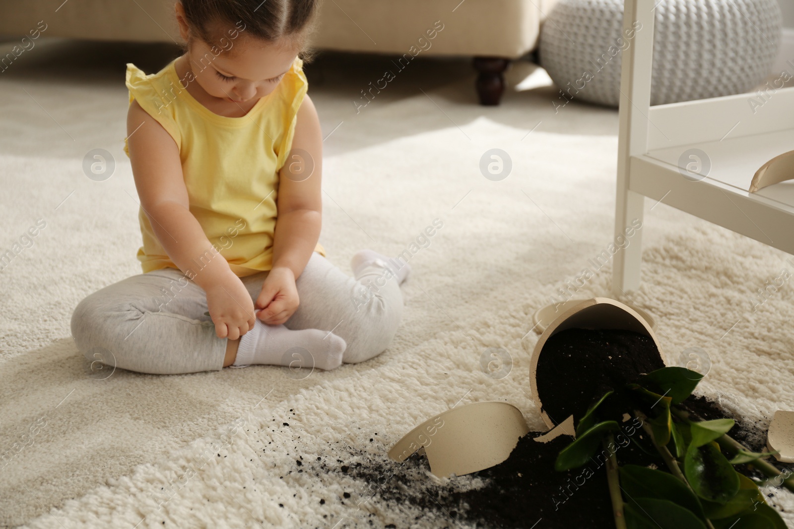 Photo of Little girl near houseplant and broken pot at home