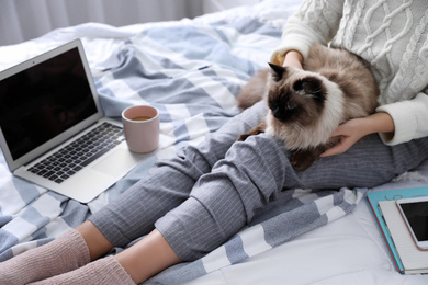 Woman with her cute Balinese cat on bed at home, closeup. Fluffy pet