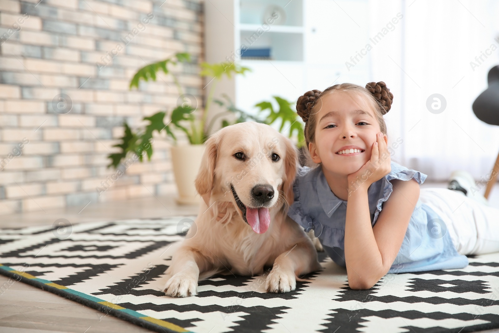 Photo of Cute little child with her pet on floor at home