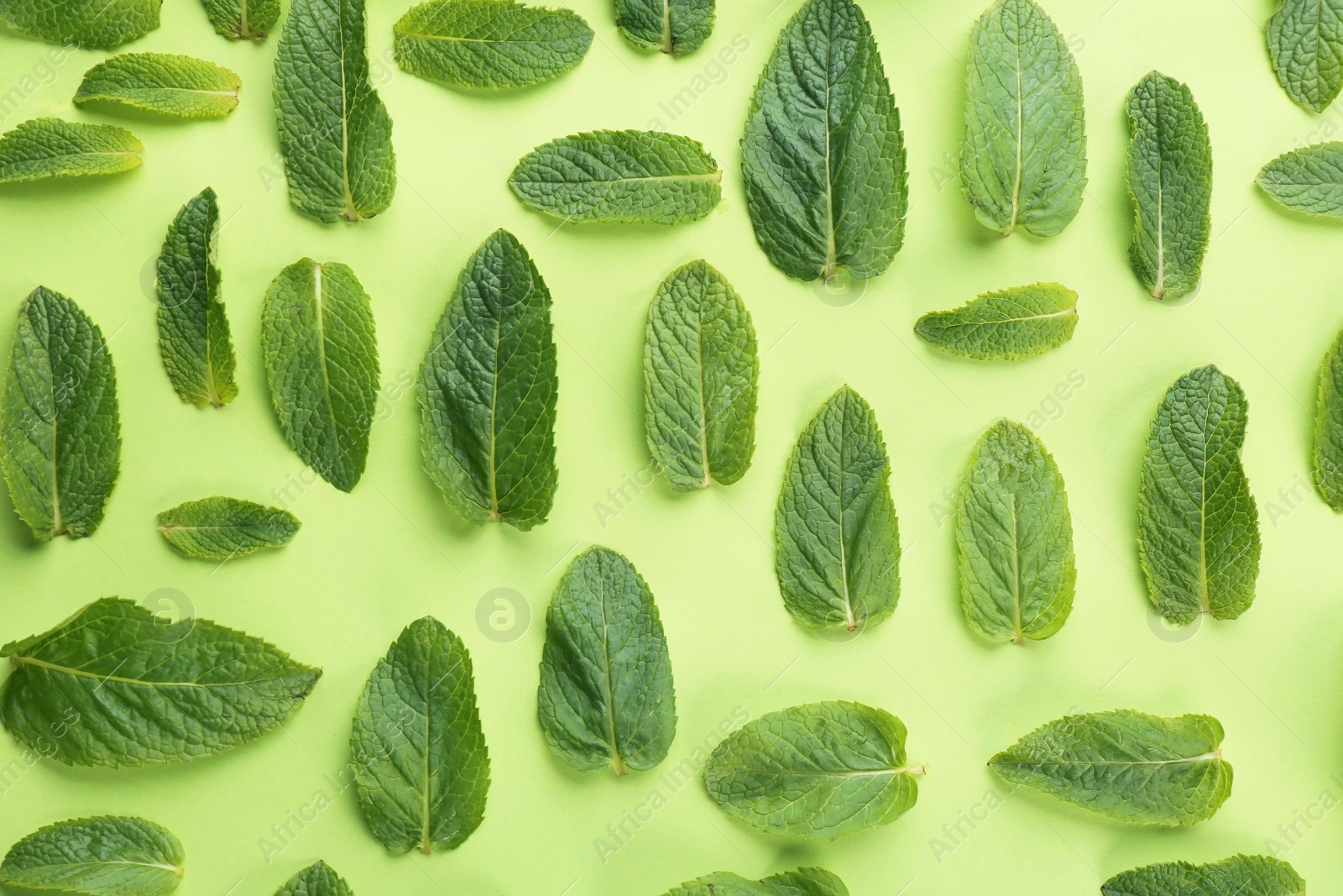 Photo of Flat lay composition with fresh mint leaves on color background