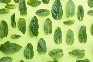 Flat lay composition with fresh mint leaves on color background