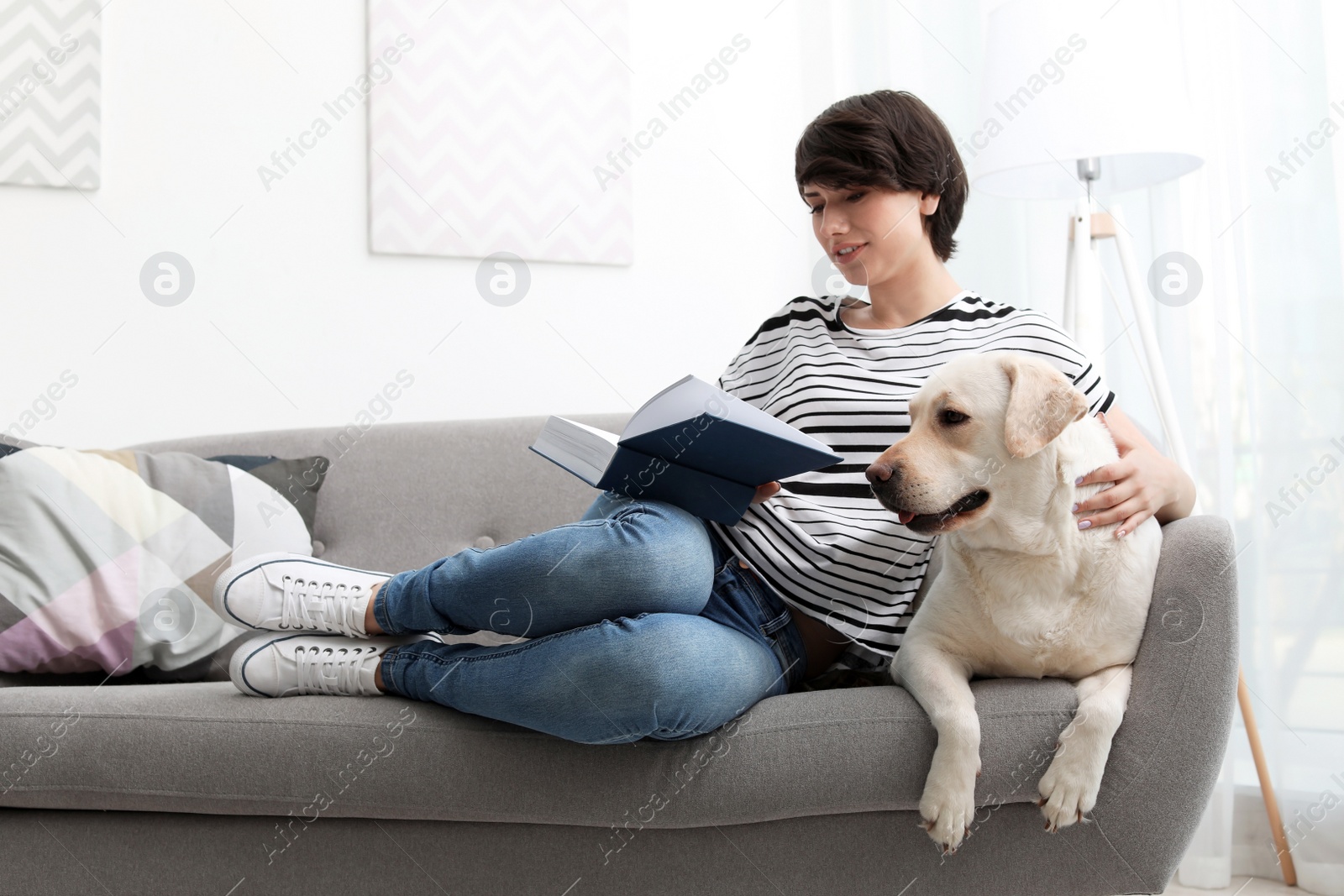 Photo of Adorable yellow labrador retriever with owner on couch indoors