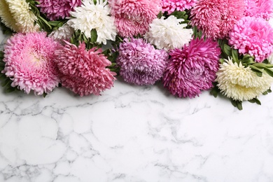 Beautiful asters and space for text on white marble background. Autumn flowers