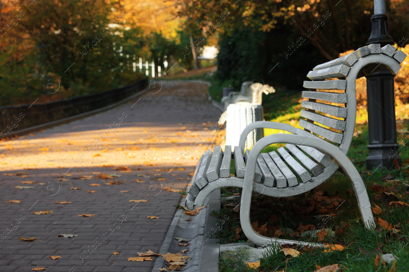 Photo of White wooden bench in park on sunny day