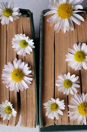 Photo of Books with chamomile flowers as bookmark, top view