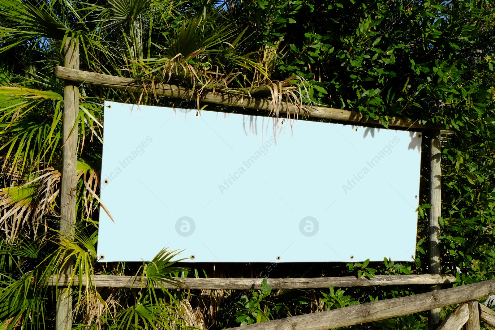 Photo of Blank banner in tropical park outdoors on sunny day